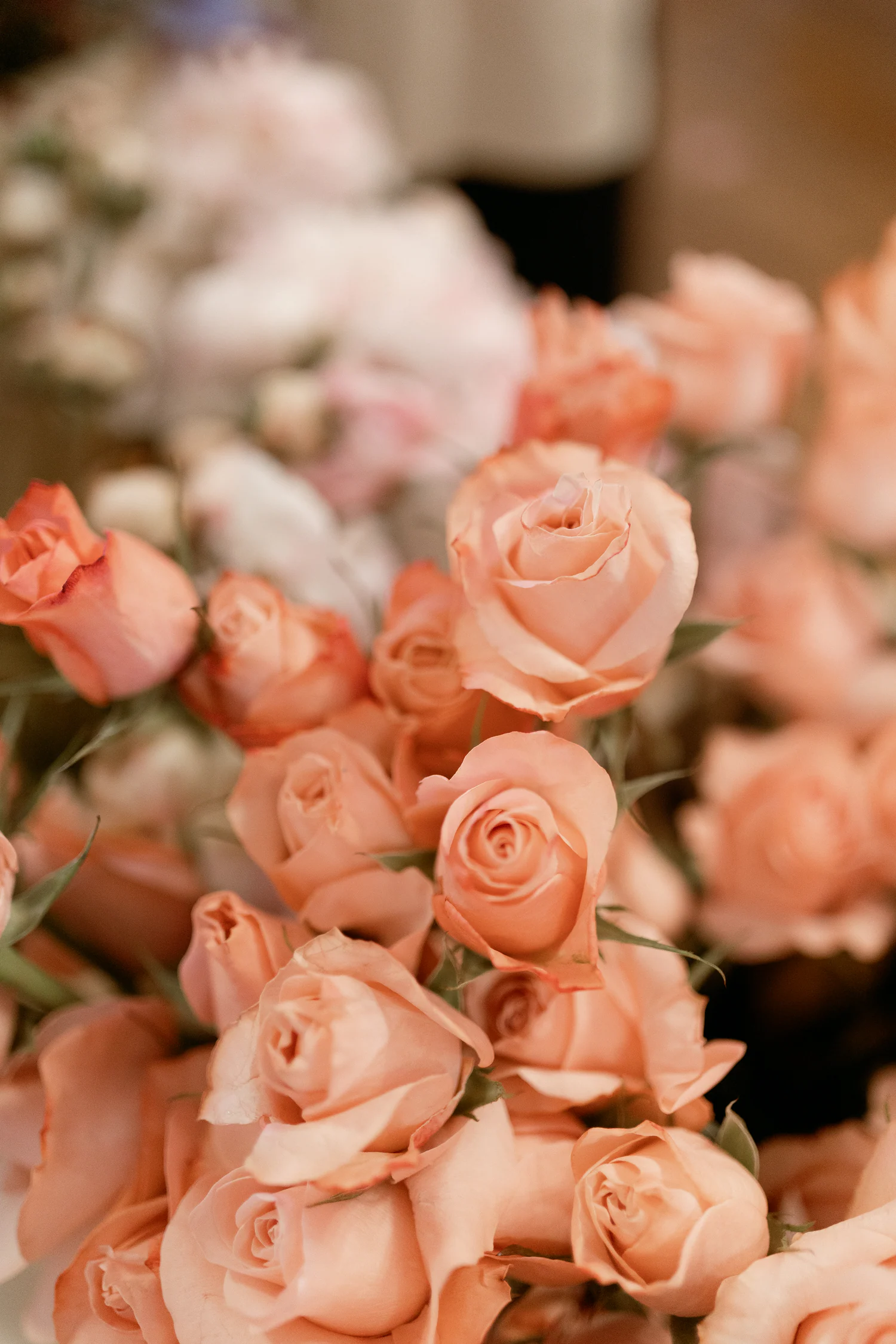 Detalhe de rosas cor de pêssego usadas numa celebração